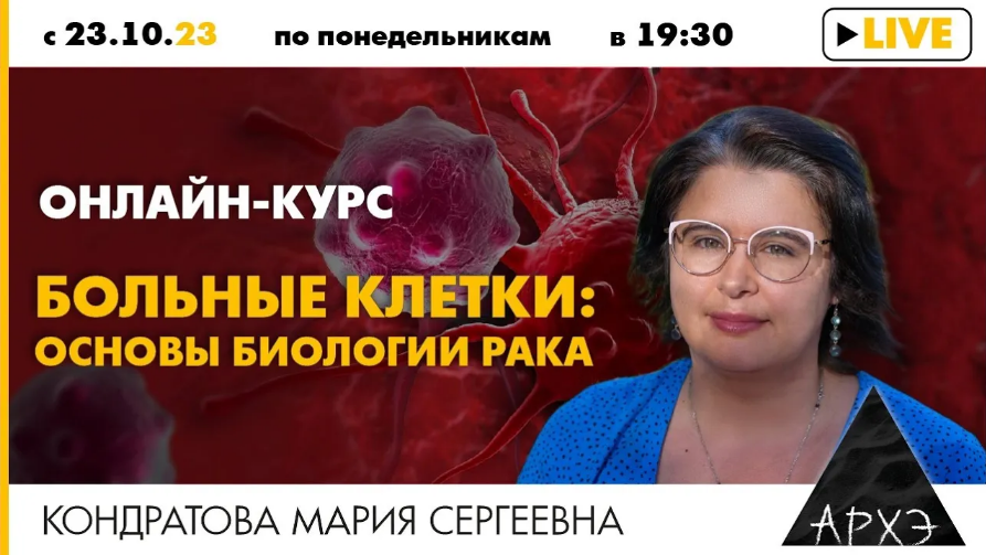 [Мария Кондратова] [Архэ] Метастазы - как и почему_0.png